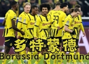 爱游戏体育在线入口-关于世俱杯/皇家马德里3-2多特蒙德的信息