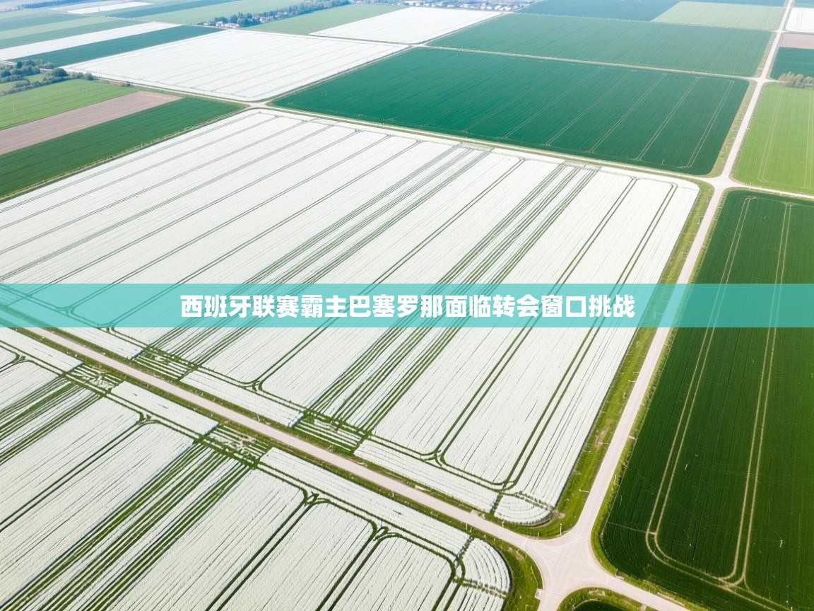 西班牙联赛霸主巴塞罗那面临转会窗口挑战 第2张