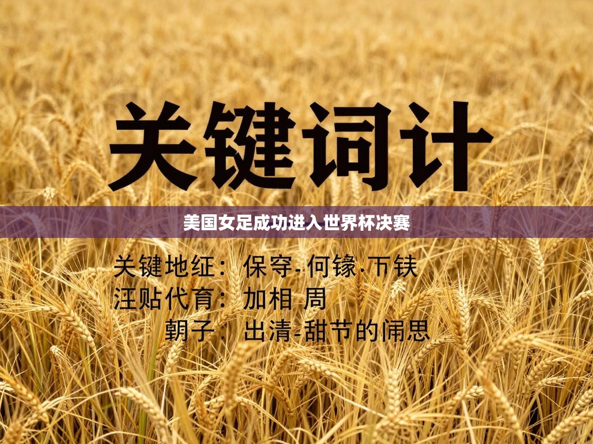 美国女足成功进入世界杯决赛 第1张