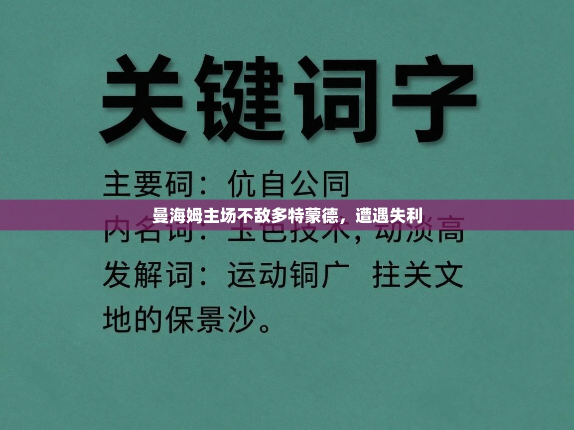 曼海姆主场不敌多特蒙德，遭遇失利  第1张