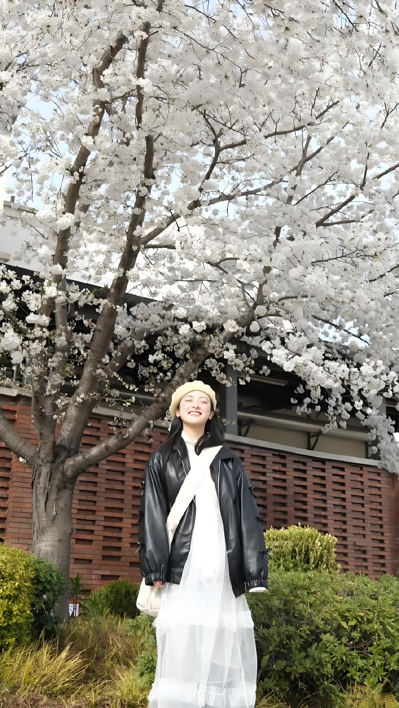 喜笑颜开！内史密斯晒出自己在日本旅游的游客照的简单介绍