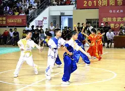 武林高手队年轻后备军崛起，展现潜力与活力